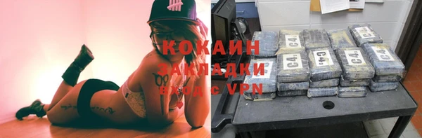 хмурый Аркадак