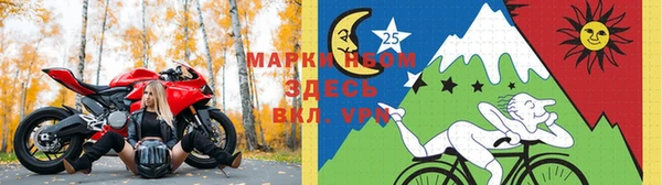 мяу мяу мука Баксан